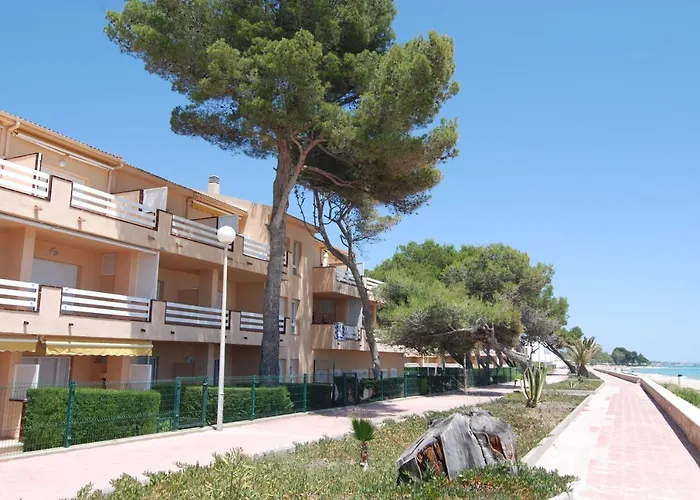 Zeus Guardamar Seaview
