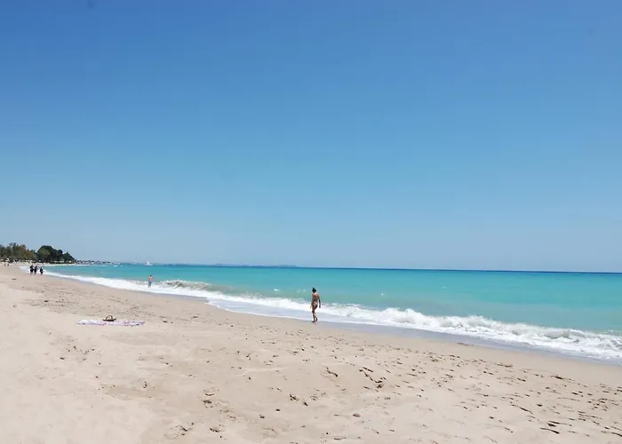 Zeus Guardamar Seaview