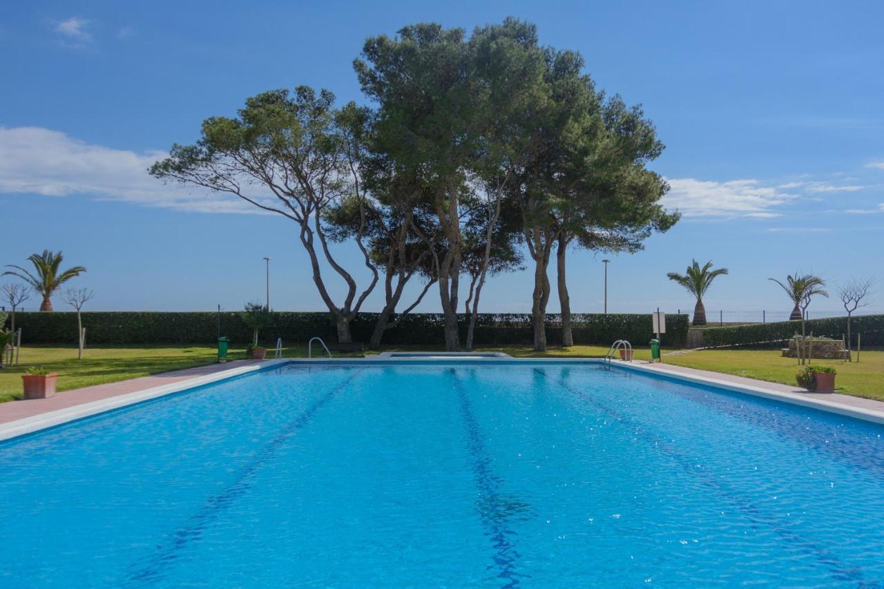 Zeus Guardamar Seaview *