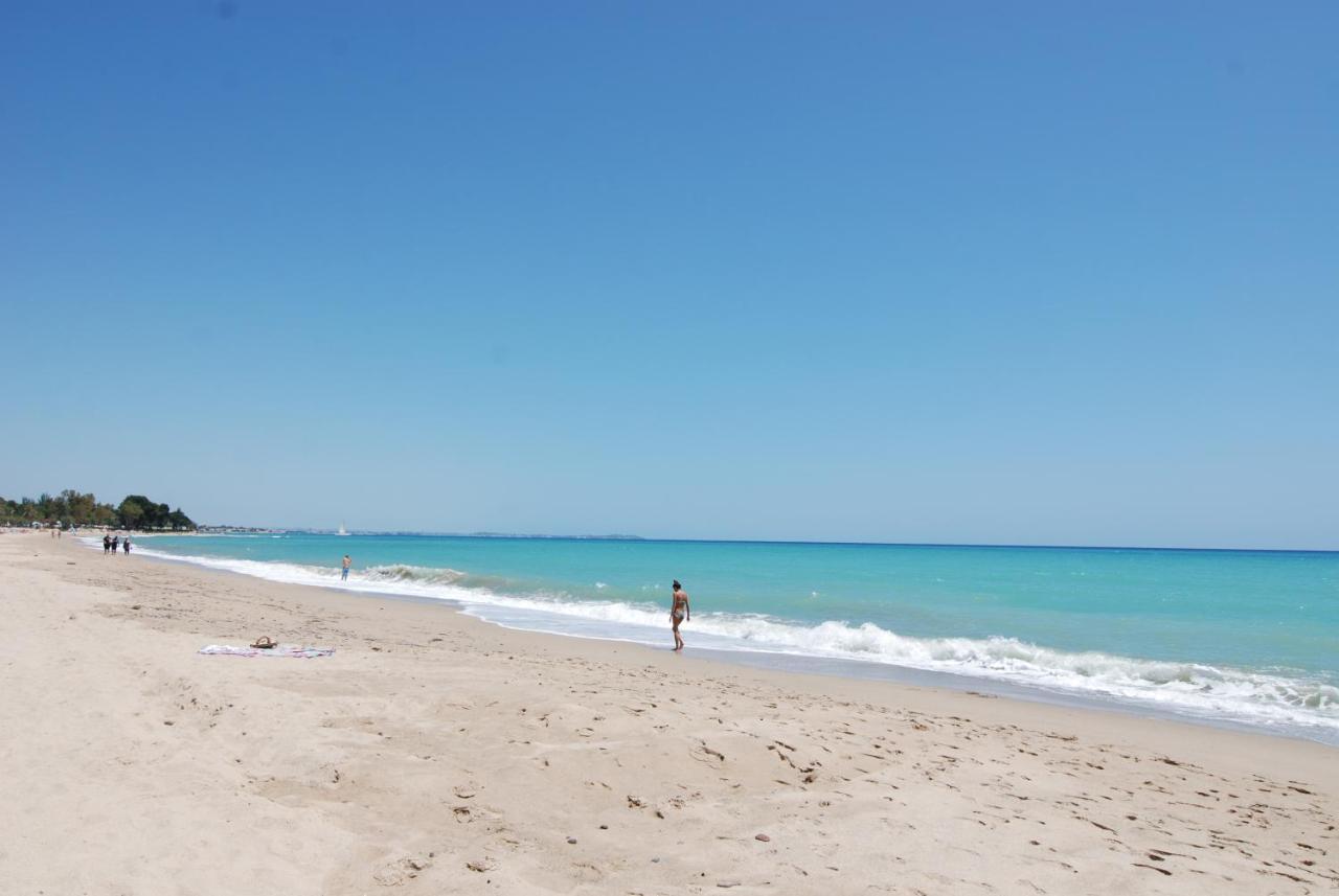 Zeus Guardamar Seaview *
